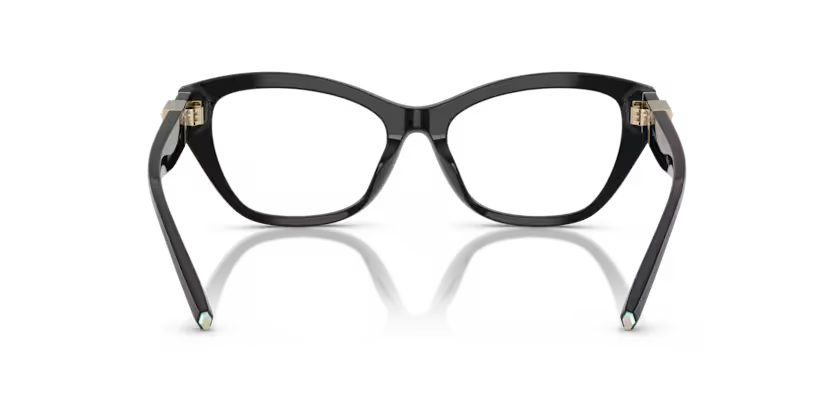 Tiffany & Co. 0TF2268U-Nero