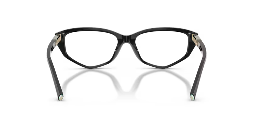 Tiffany & Co. 0TF2276-Nero