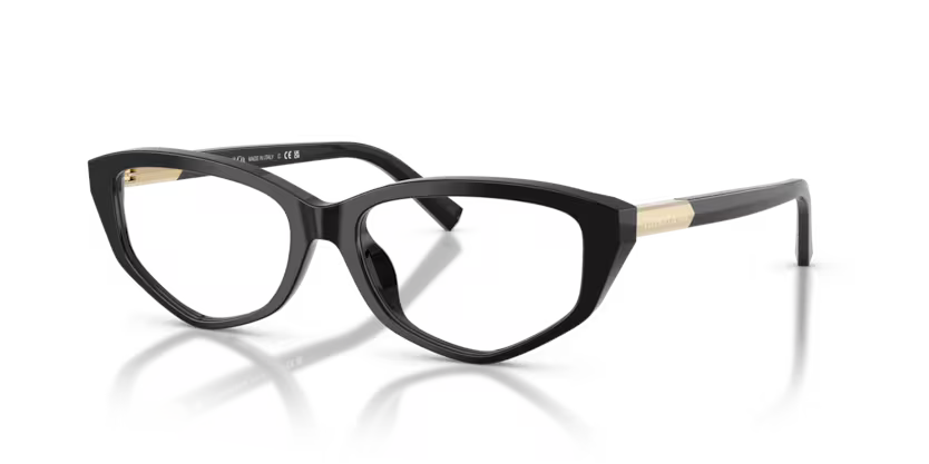 Tiffany & Co. 0TF2276-Nero