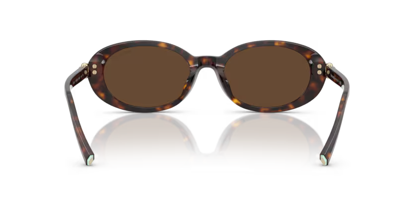 Tiffany & Co. 0TF4242D-Havana