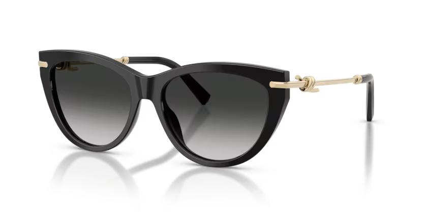 Tiffany & Co. 0TF4253-Nero