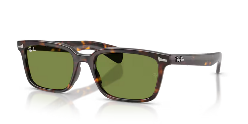 Ray Ban RB2234 902/4E53 Havana
