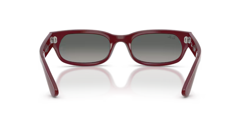 Ray Ban RB2236 68997154 Bordeaux