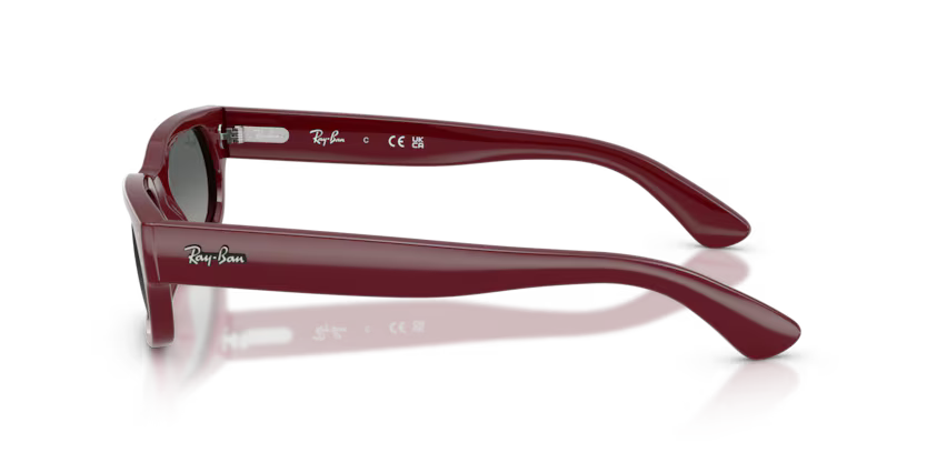 Ray Ban RB2236 68997154 Bordeaux