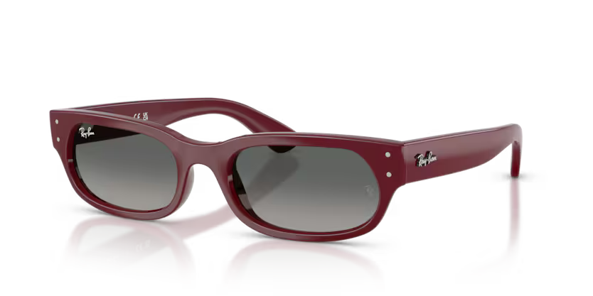 Ray Ban RB2236 68997154 Bordeaux