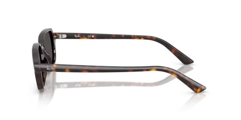 RayBan RB4455 135987