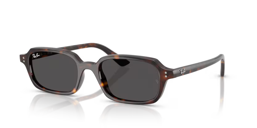 RayBan RB4455 135987