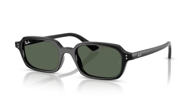 Ray Ban RB4455 66777152 Nero