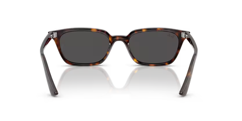 RayBan RB4456 135987