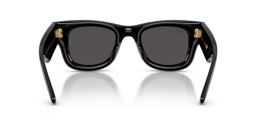 Ray-Ban 0RB4940 Wayfarer Puffer
