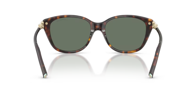 Tiffany & Co. TF4267 80153H54 Havana