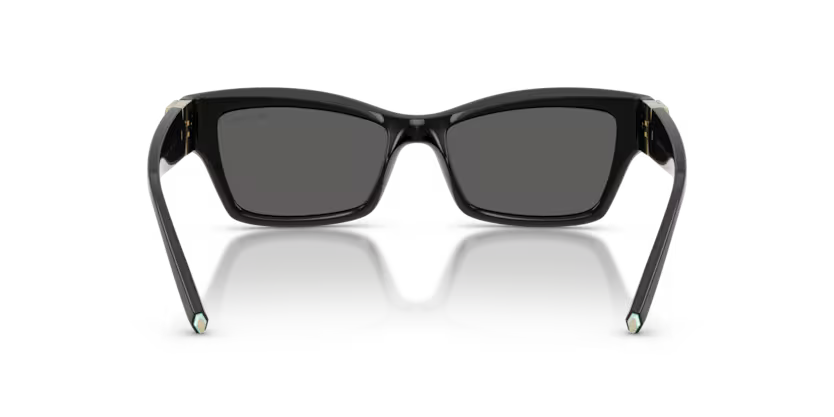 Tiffany & Co. TF4269U 8001S4 53 Nero