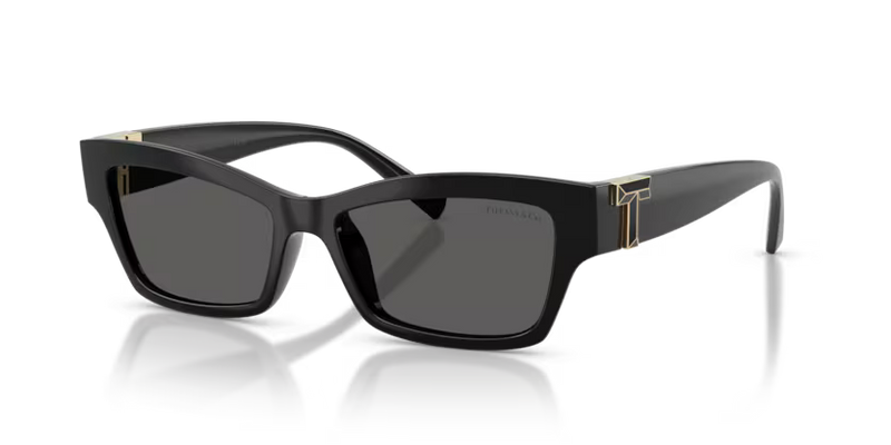 Tiffany & Co. TF4269U 8001S4 53 Nero